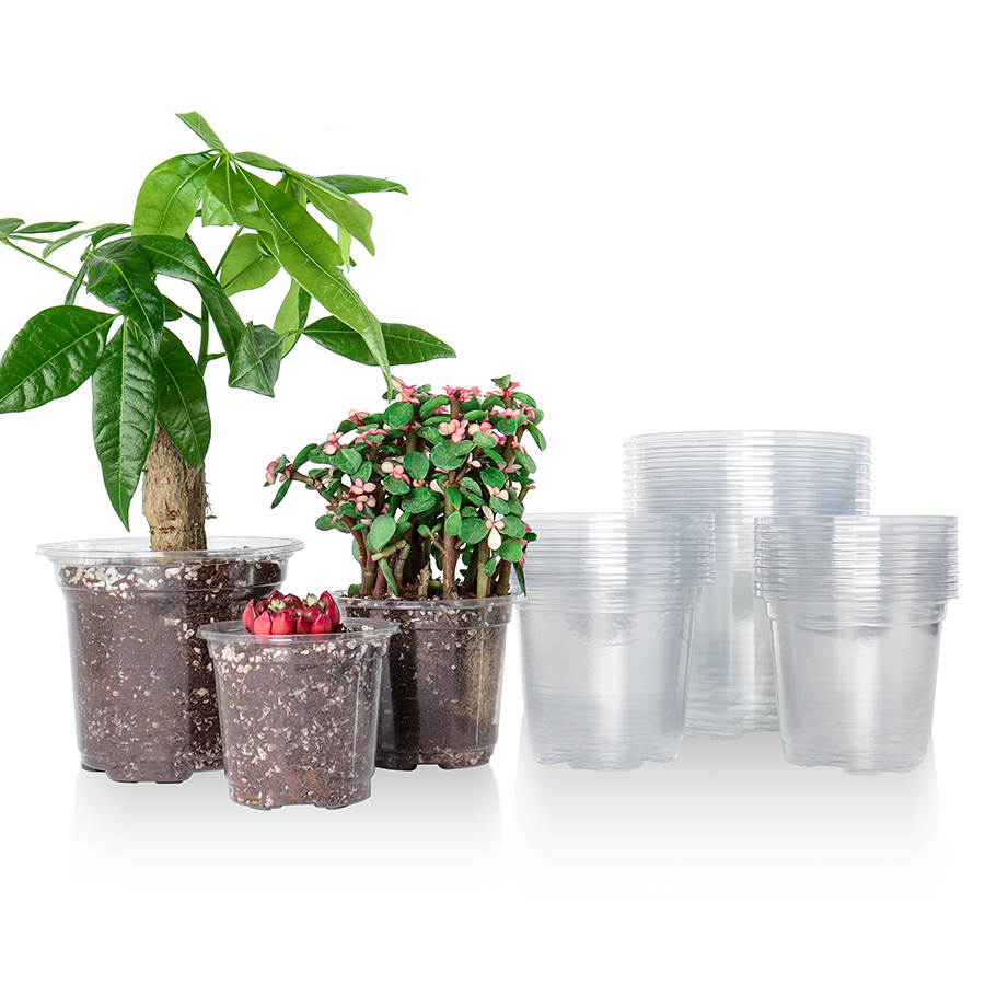 Indoor Herb Garden Kit - 30-packs 3,5/4/5 inch doorzichtige kinderkamerpotten, transparante