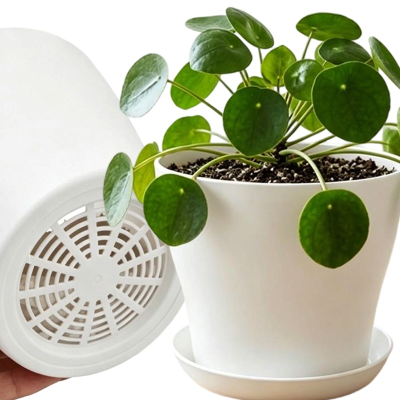 Indoor Herb Garden Kit - Plantenset met drainagegaten en bijpassende bak