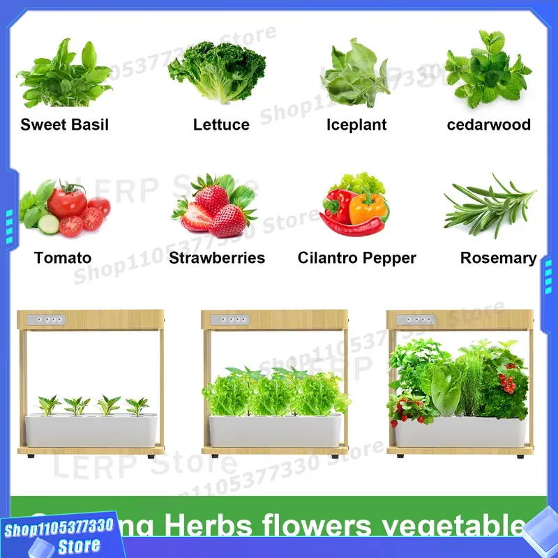 IGS-05 Slimme Hydroponische Tu - Indoor Herb Garden Kit recensie en prijs