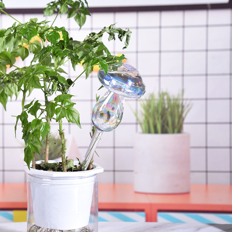 1/2 Stuks Glazen Stro Automati - Smart Garden Project recensie en prijs