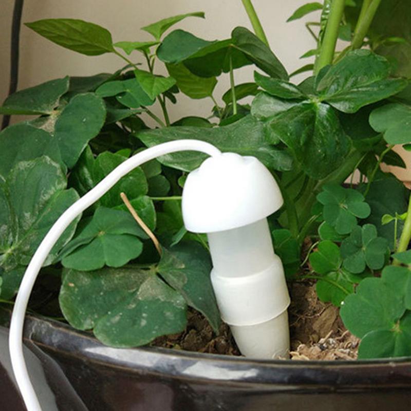 Plant Automatisch Besproeiings - Smart Garden Project recensie en prijs