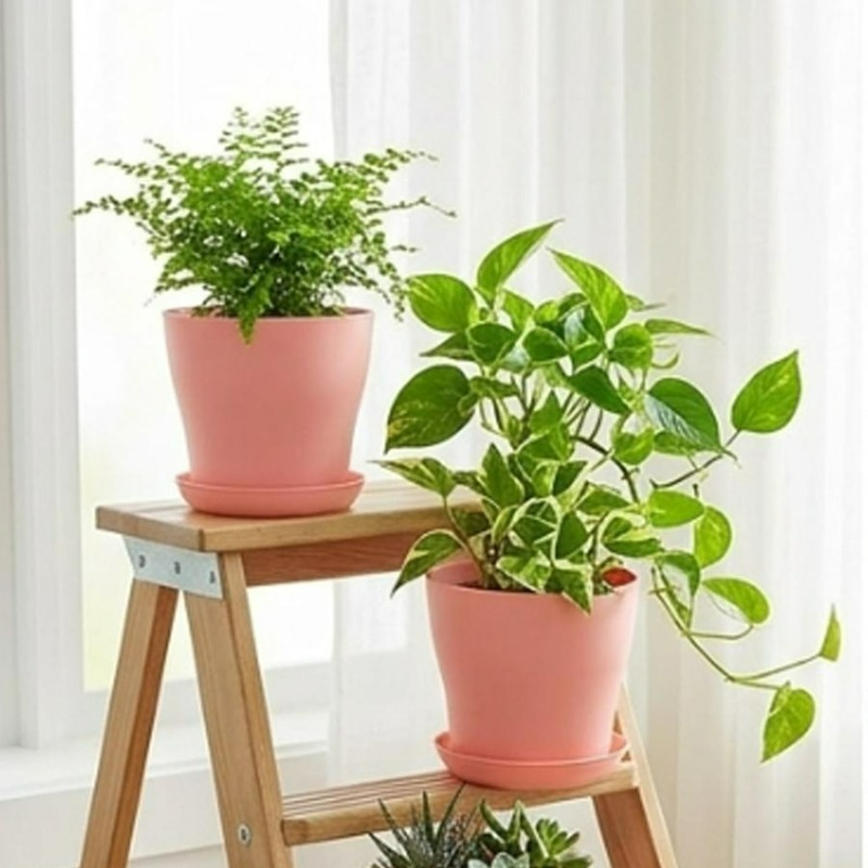 Plantenset met drainagegaten e - Indoor Herb Garden Kit recensie en prijs